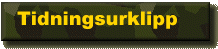 Tidningsurklipp